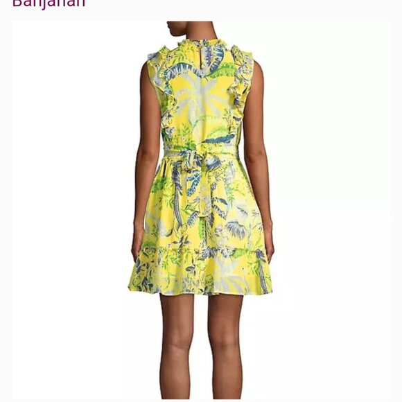 Banjanan Dress - Picture 1 of 6